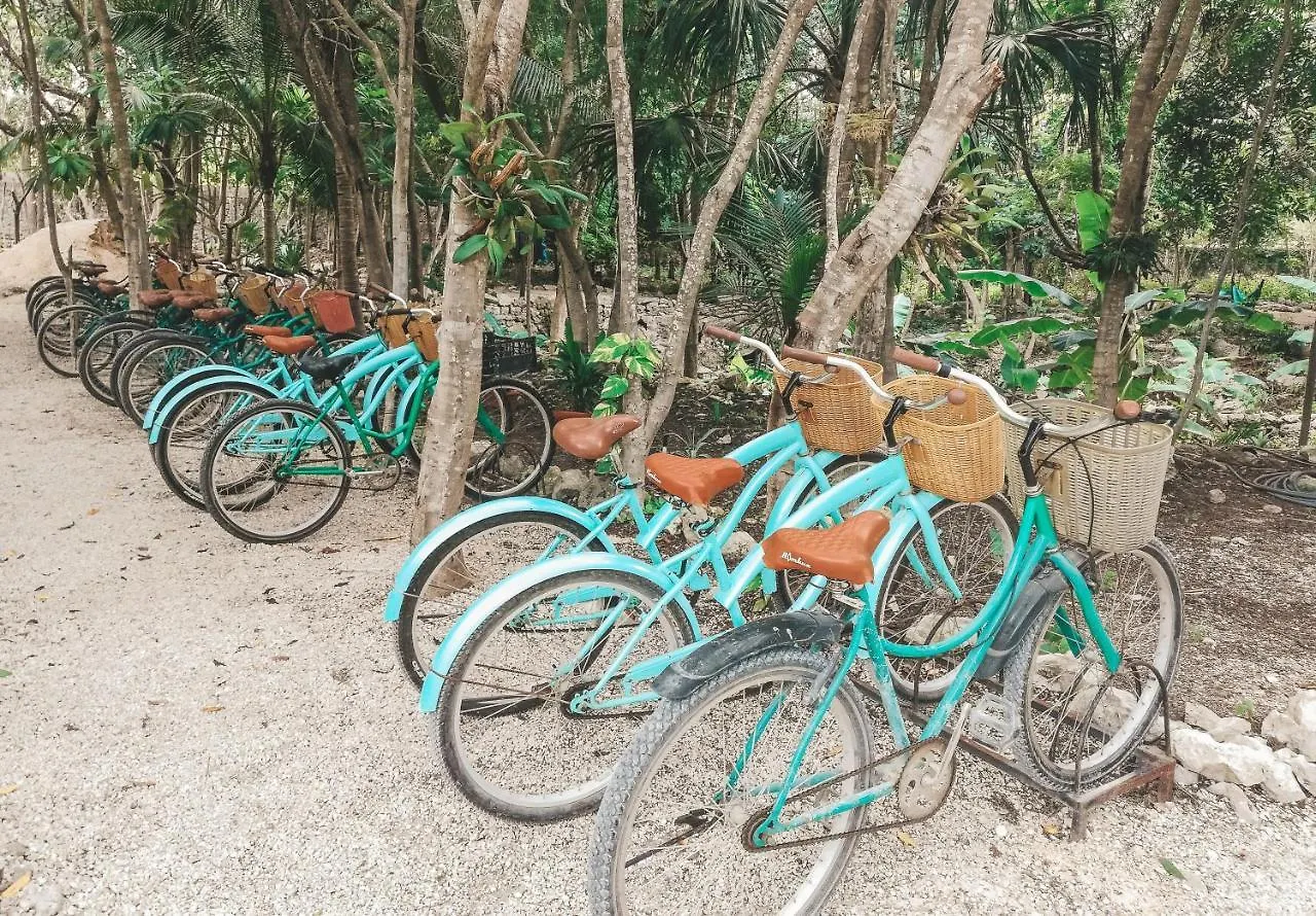 Hotel Akumal Natura Glamping