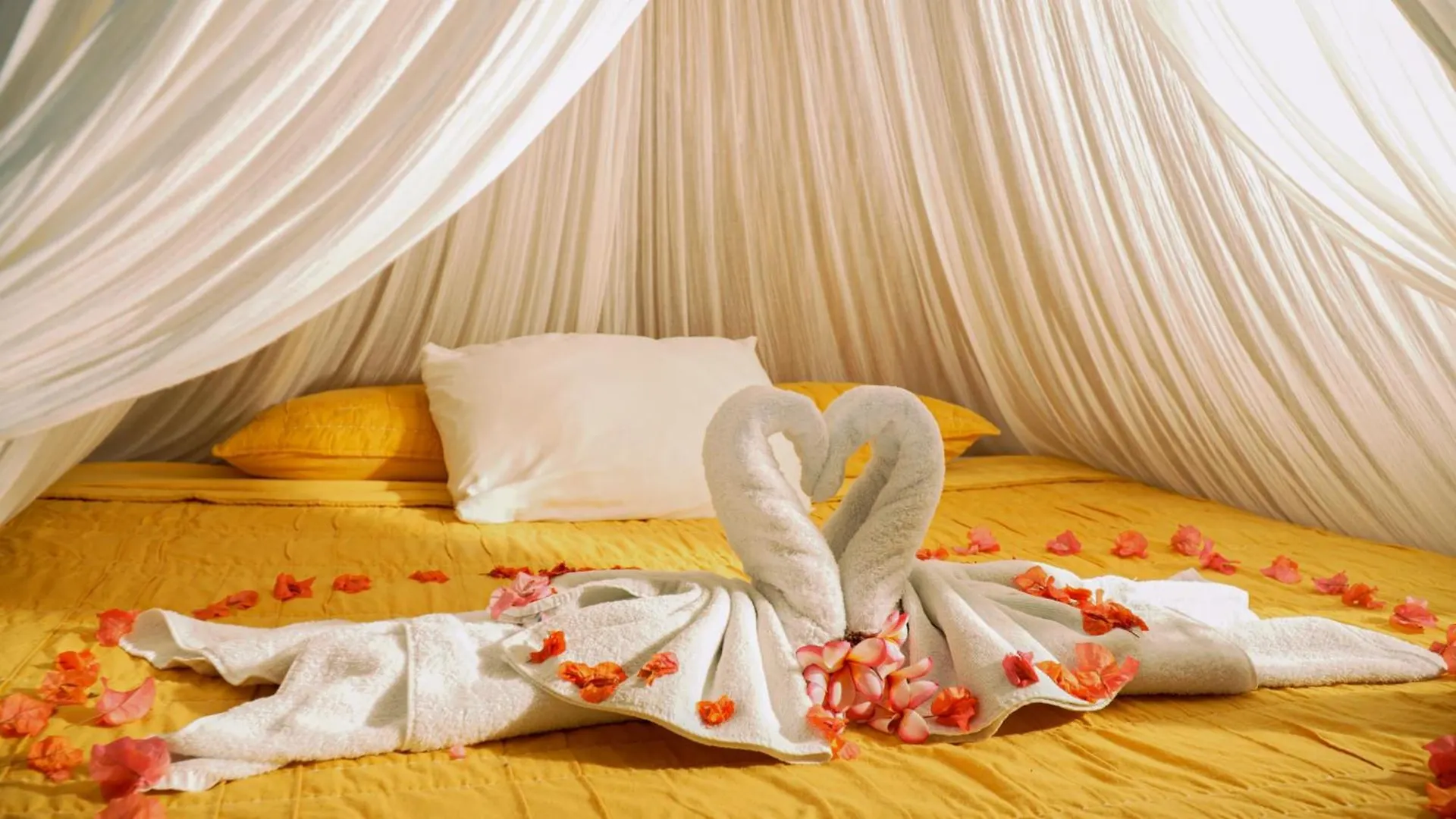 Akumal Natura Glamping