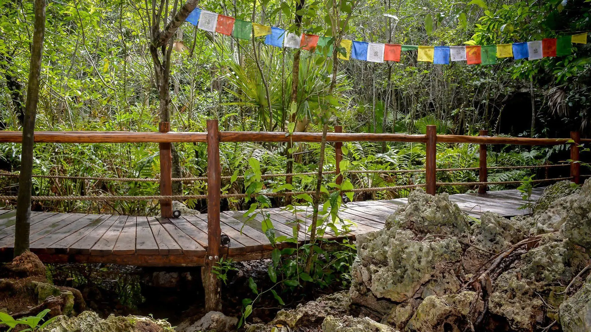 Akumal Natura Glamping 3*,  멕시코